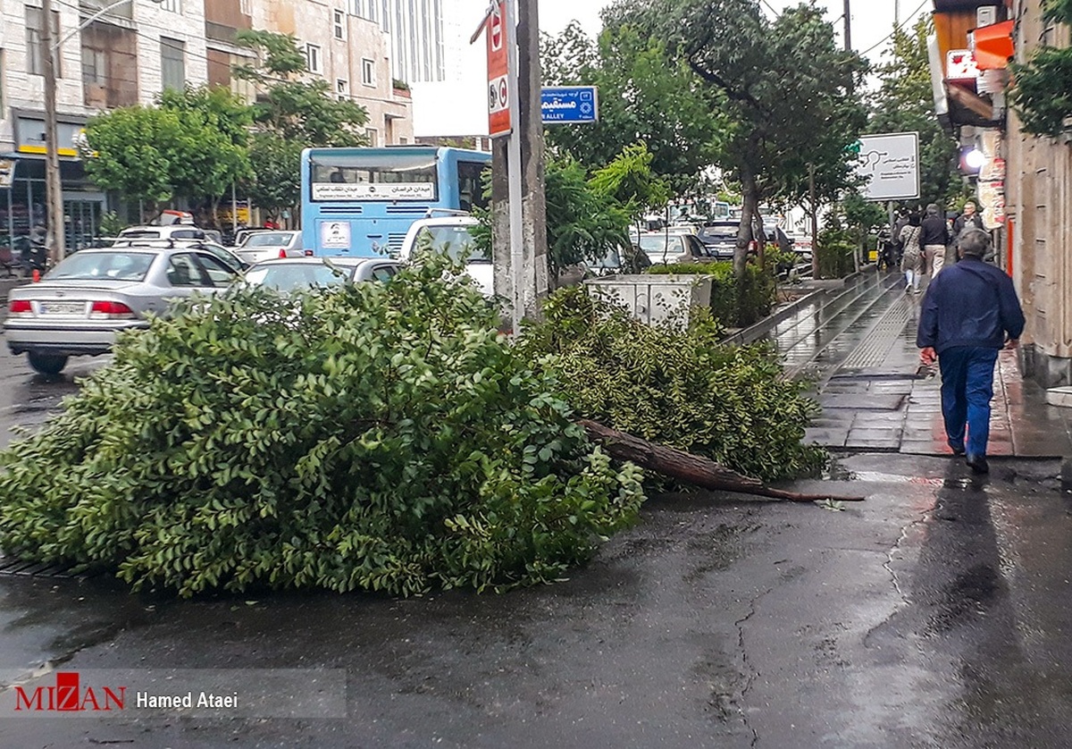 هشدار زرد باد و باران برای استان‌های مختلف