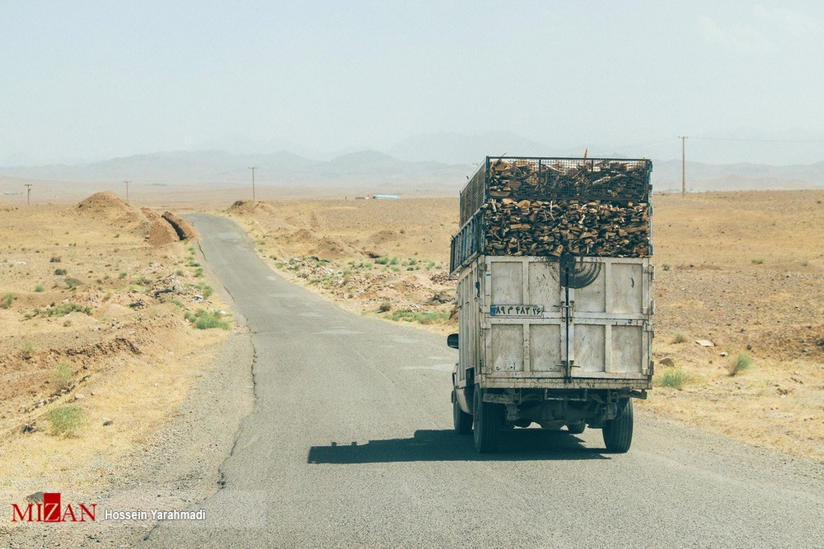 دادستان مرکز استان همدان: با قاچاقچیان چوب برخورد جدی می‌شود