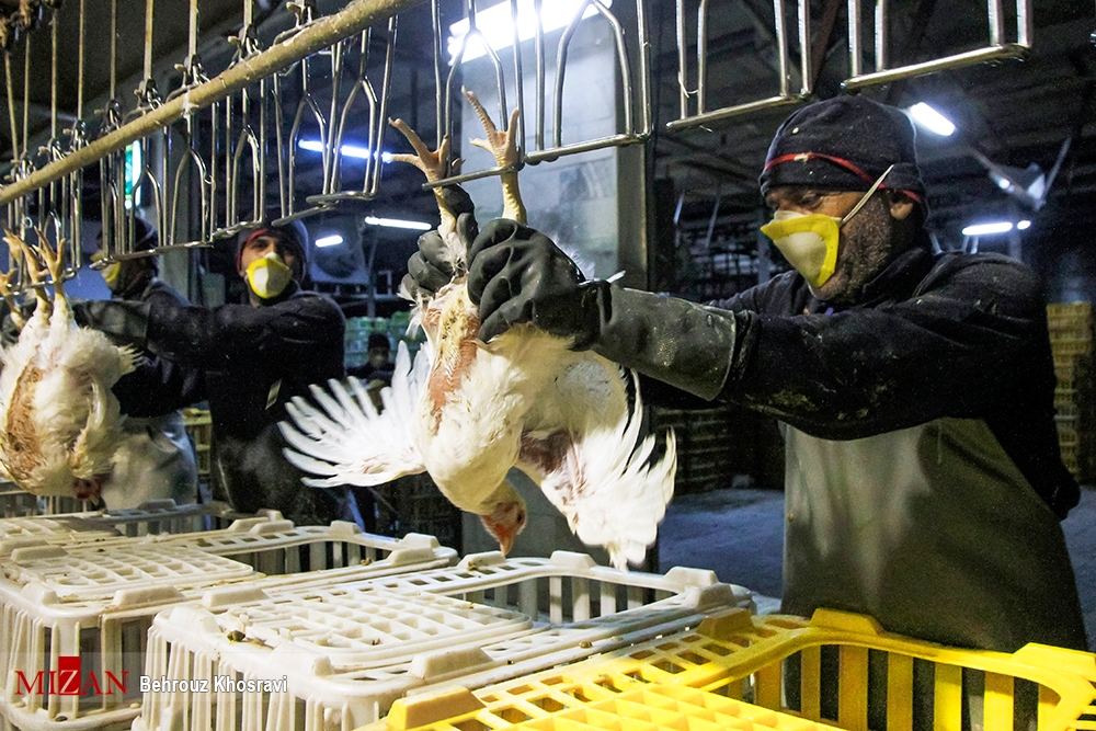 مصمم بودن دستگاه قضا جهت حمایت و پشتیبانی همه جانبه از تولید کنندگان، فعالان اقتصادی و تامین امنیت سرمایه‌گذاری در کشور/دستگاه قضایی به دور از شعار بلکه عملیاتی پای کار مجامع تولیدی، صنعتی و مشکلات کارگران است/ احیا و راه اندازی کشتارگاه سیمرغ دلیجان و مختومه شدن ۱۰۰ فقره پرونده مربوط به این واحد تولیدی در مراجع مختلف قضایی