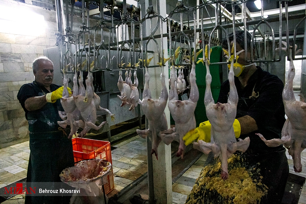 مصمم بودن دستگاه قضا جهت حمایت و پشتیبانی همه جانبه از تولید کنندگان، فعالان اقتصادی و تامین امنیت سرمایه‌گذاری در کشور/دستگاه قضایی به دور از شعار بلکه عملیاتی پای کار مجامع تولیدی، صنعتی و مشکلات کارگران است/ احیا و راه اندازی کشتارگاه سیمرغ دلیجان و مختومه شدن ۱۰۰ فقره پرونده مربوط به این واحد تولیدی در مراجع مختلف قضایی