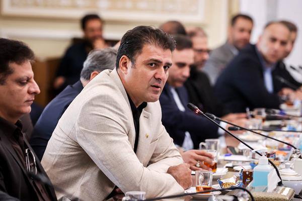 روسای فدراسیون‌های ورزشی در دیدار با رئیس مجلس از دغدغه‌های‌شان گفتند