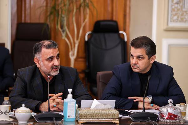 روسای فدراسیون‌های ورزشی در دیدار با رئیس مجلس از دغدغه‌های‌شان گفتند