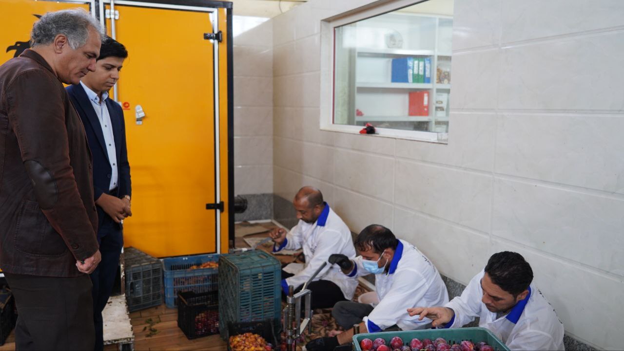 اشتغال 30 مدجوی زندان خوی در کارگاه تولید میوه خشک/