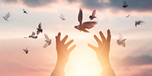 اینفوگرافیک | جزئیات عفو رهبر معظم انقلاب به مناسبت میلاد پیامبر(ص) و امام صادق(ع)