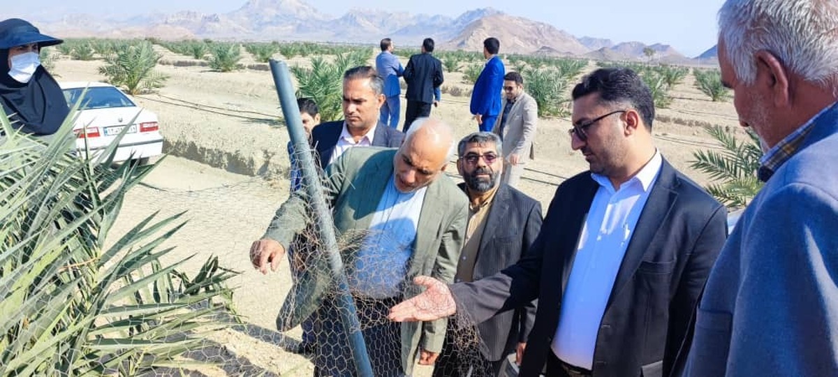 رئیس کل دادگستری هرمزگان از بزرگترین مزرعه محصولات گرمسیری کشور با هدف حمایت از تولید بازدید کرد رئیس کل دادگستری هرمزگان از بزرگترین مزرعه محصولات گرمسیری کشور با هدف حمایت از تولید بازدید کرد