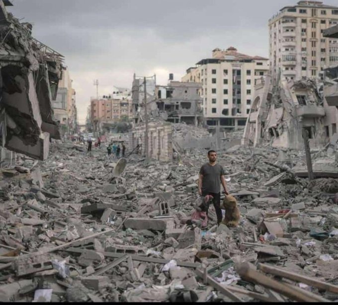 شواهد آشکار برای جنایت‌های جنگی رژیم صهیونیستی در نوار غزه