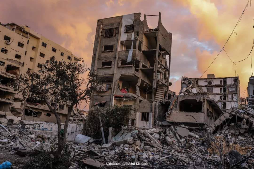 شمار شهدا به ۲ هزار و ۸۳۷ نفر افزایش یافت/ ادامه بمباران مناطق نوار غزه/ ورود فرمانده سنتکام به اراضی اشغالی شمار شهدا به ۲ هزار و ۸۳۷ نفر افزایش یافت/ ادامه بمباران مناطق نوار غزه/ ورود فرمانده سنتکام به اراضی اشغالی