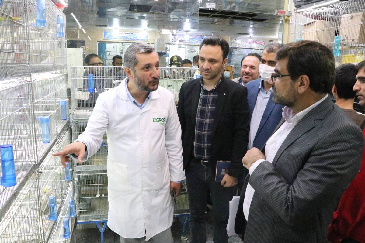 ورود دادستانی تهران به موضوع ساماندهی وضعیت باغ پرندگان خلیج فارس ورود دادستانی تهران به موضوع ساماندهی وضعیت باغ پرندگان خلیج فارس