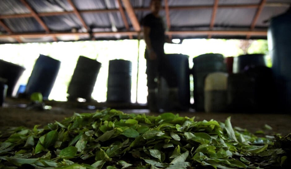 اروپا، بزرگ‌ترین بازار مصرف کوکائین جهان؛ بحران فنتانیل در راه است