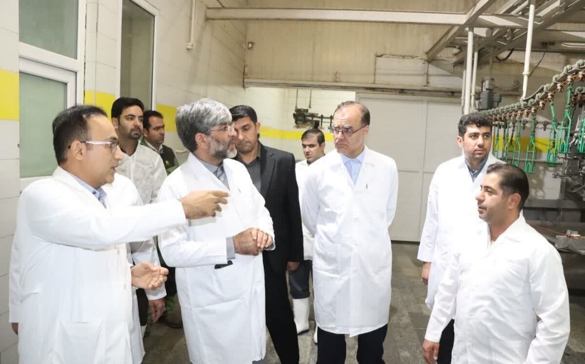 بازدید میدانی از واحد‌های تولیدی در دستور کار مسئولان قضایی/ حل مشکل ۲ واحد تولیدی با ورود دادگستری استان آذربایجان غربی