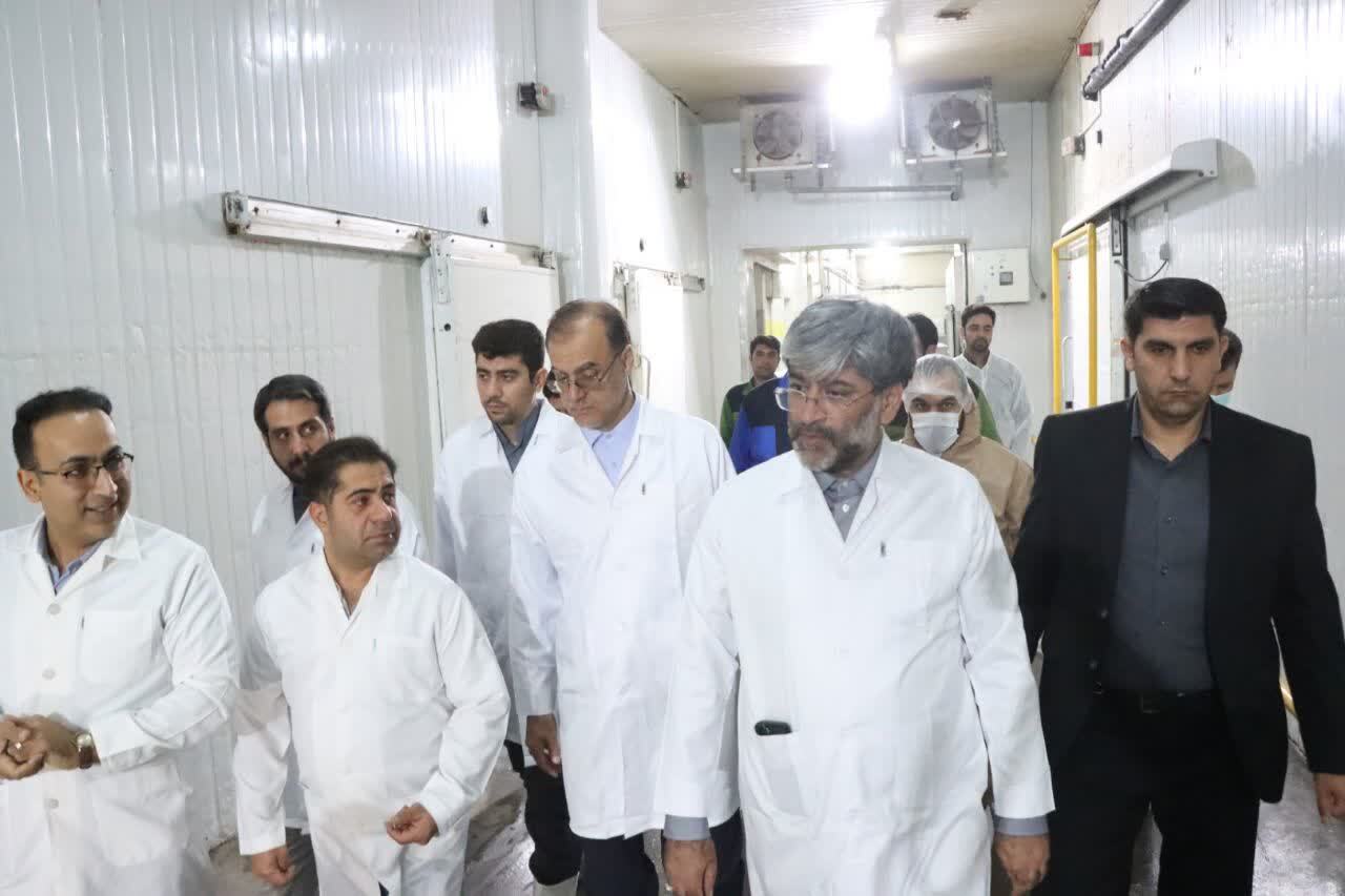 بازدید میدانی از واحد‌های تولیدی در دستور کار مسئولان قضایی/ حل مشکل دو واحد تولیدی با ورود دادگستری استان آذربایجان غربی