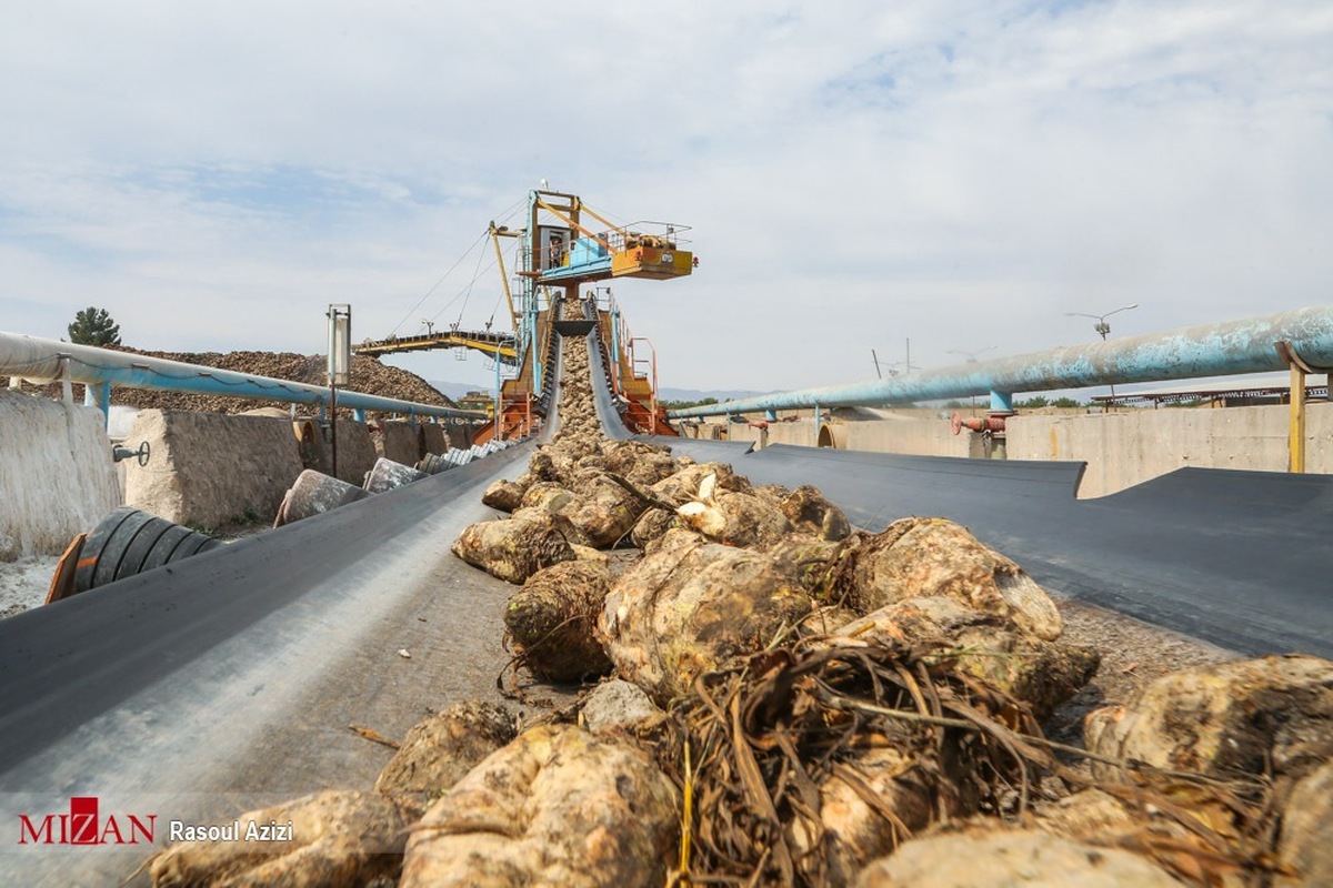 دادگستری استان آذربایجان غربی به کنترل خروج چغندر قند از استان و شیوه‌های نوین کشت ورود کرد