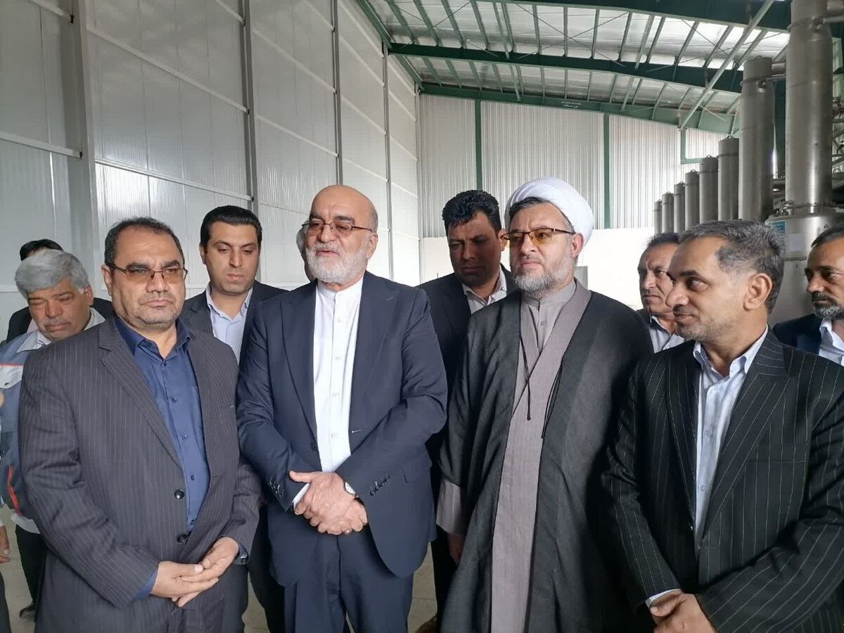 معاون سیاسی قوه قضاییه از کارخانه فرآوری گیاهان دارویی و تونل انتقال آب رابر به کرمان بازدید کرد