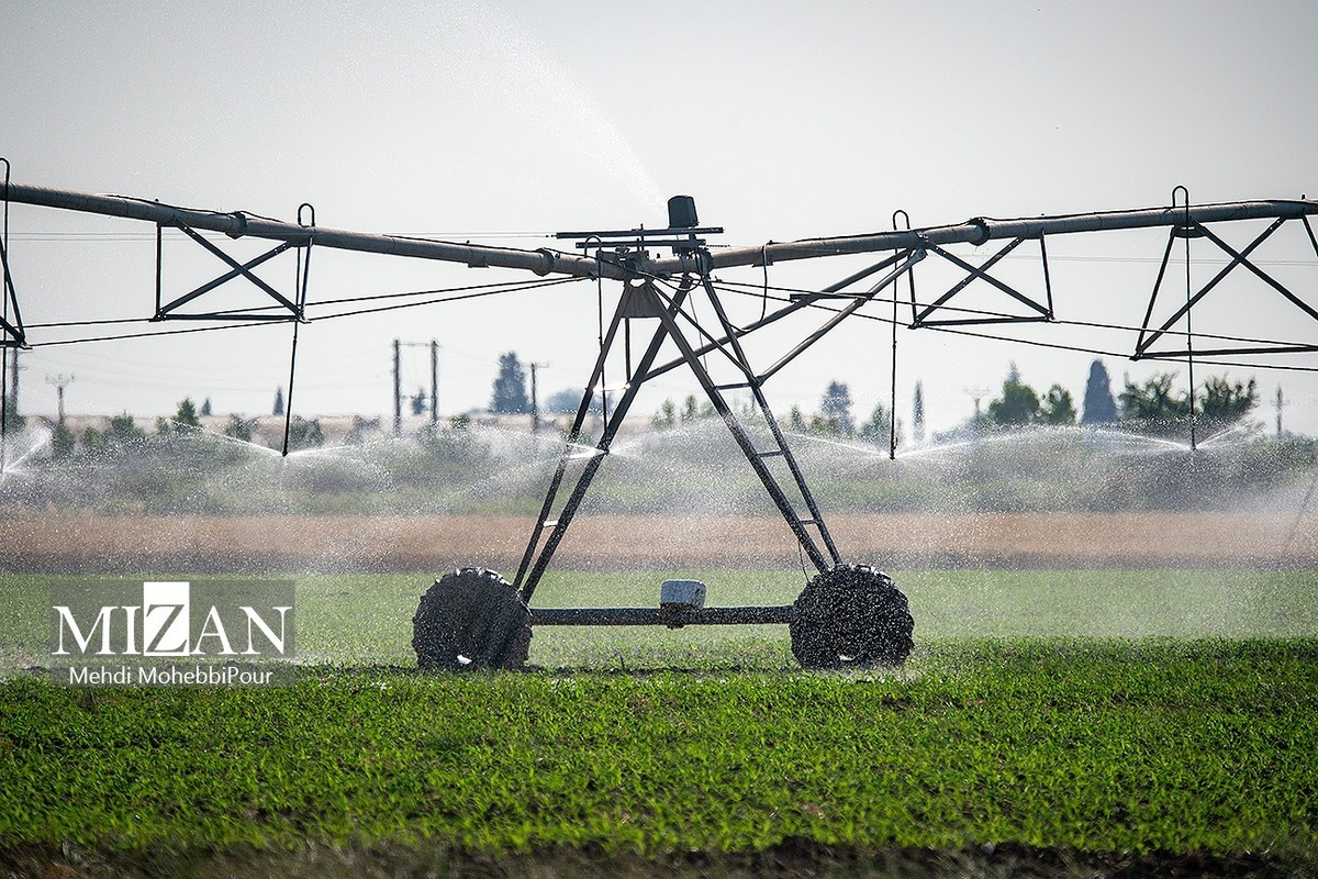 توسعه همکاری‌های آب و خاک بخش کشاورزی ایران و تاجیکستان