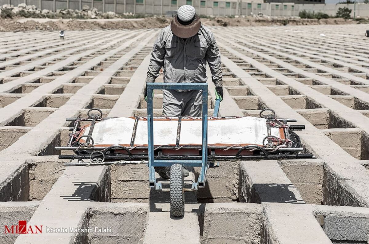 نرخ فوت در نیمه نخست سال کاهش یافت