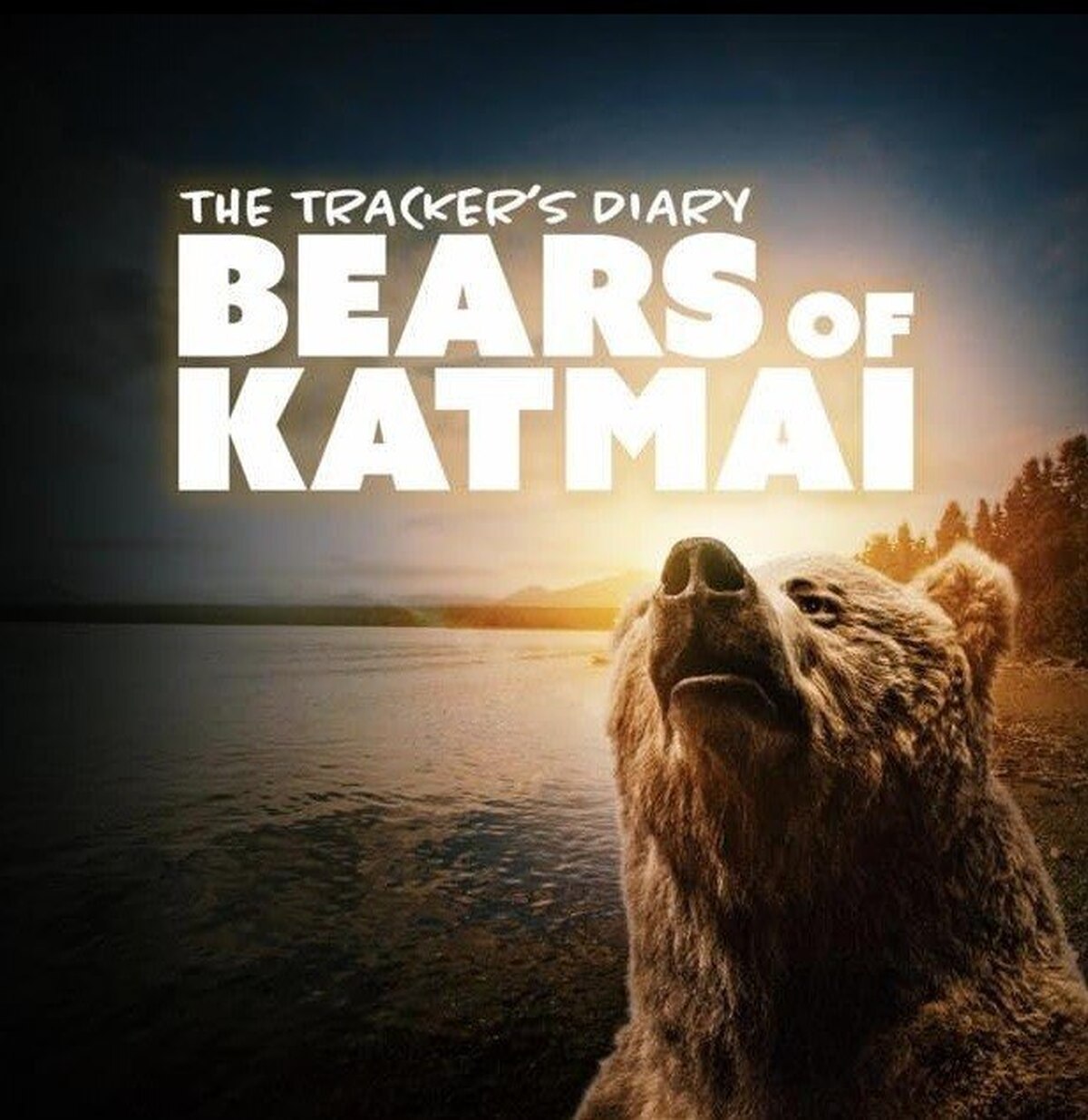 مرور «خاطرات ردیاب خرس‌های کاتمای» در شبکه مستند