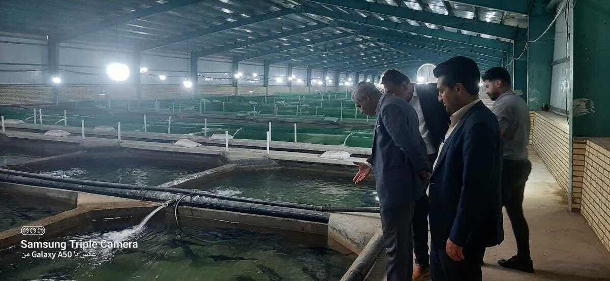دادستان گتوند از طرح پرورش ماهیان خاویاری بازدید کرد