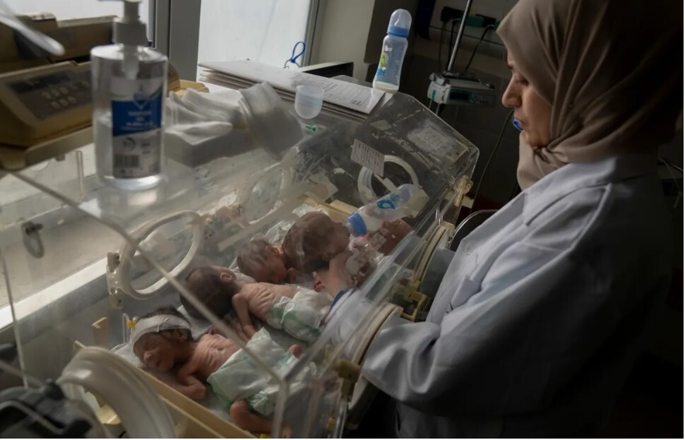 نوزادان نارس؛ از نماد رنج غیرنظامیان غزه تا نماد مقاومت فلسطین نوزادان نارس؛ از نماد رنج غیرنظامیان غزه تا نماد مقاومت فلسطین