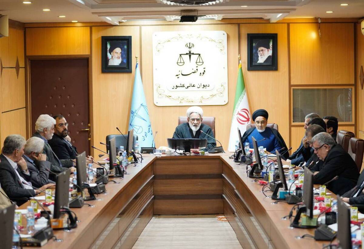 بررسی شیوه‌های کاهش ورودی پرونده‌ها در دیوان عالی کشور/ حجت‌الاسلام والمسلمین منتظری: قضات پیشنهادات در بحث اصلاح قانون را ارائه دهند