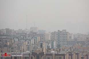 اینفوگرافیک | عوارض آلودگی هوا را با این مواد غذایی کاهش دهید