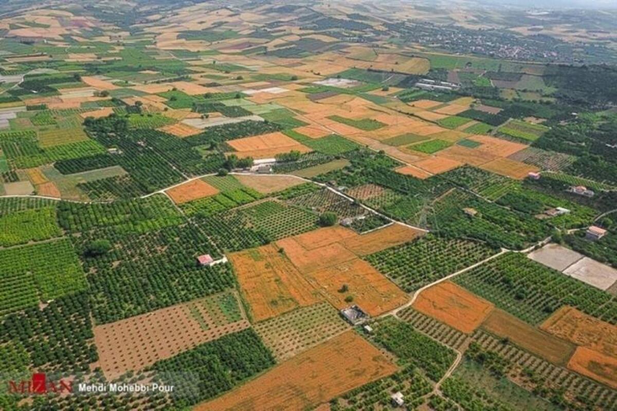 حدنگاری ۱۸ هزار هکتار اراضی کشاورزی شهرستان دهلران آغاز شد