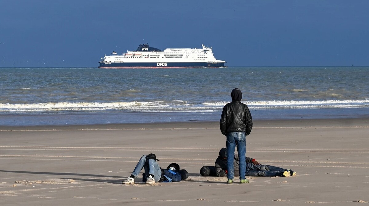  عفو بین‌الملل: پیمان مهاجرتی جدید اتحادیه اروپا رنج انسانی بیشتر را به‌دنبال دارد