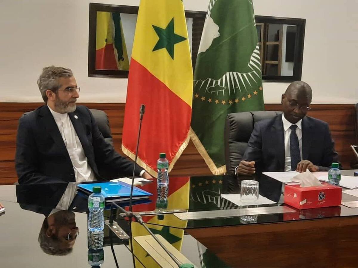 باقری: ایران شریک قابل اتکای کشور‌های آفریقایی است