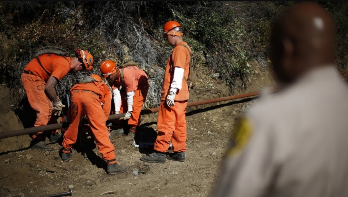 تداوم برده‌داری در زندان‌های دست‌کم ۱۲ ایالت آمریکا