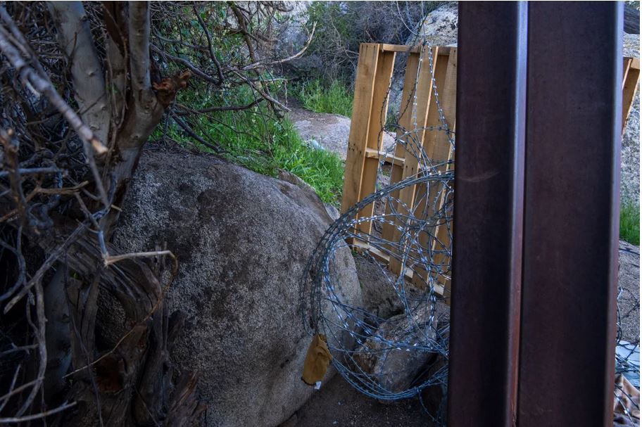 مرز‌های آمریکا و ادامه روند بازداشت پناهجویان/ ۱۳۷ هزار نفر در ماه مارس بازداشت شدند