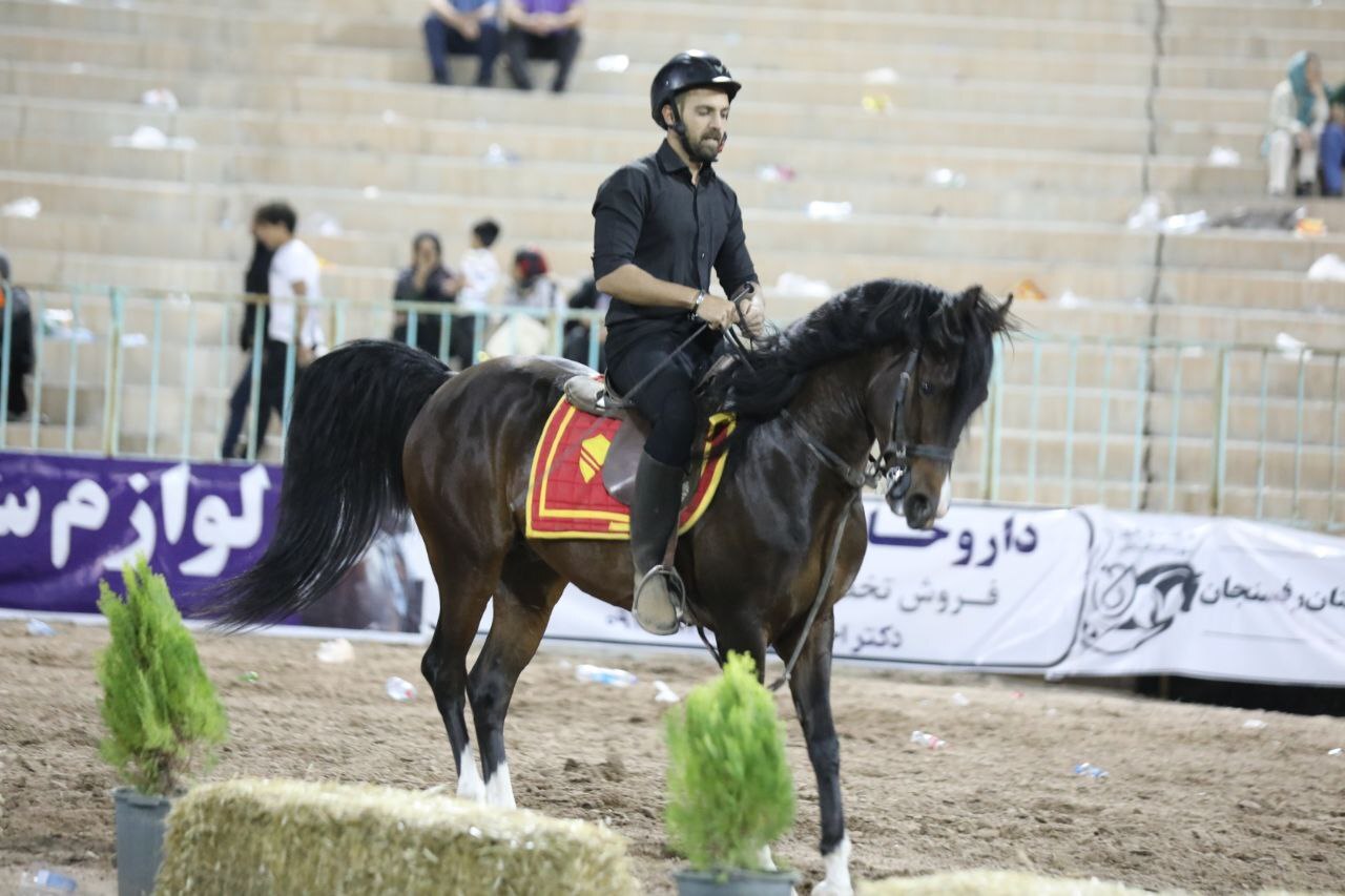 برگزاری  نمایش «شو » اسبان اصیل ایران در رفسنجان/ توسعه گردشگری با معرفی اسب اصیل ایرانی