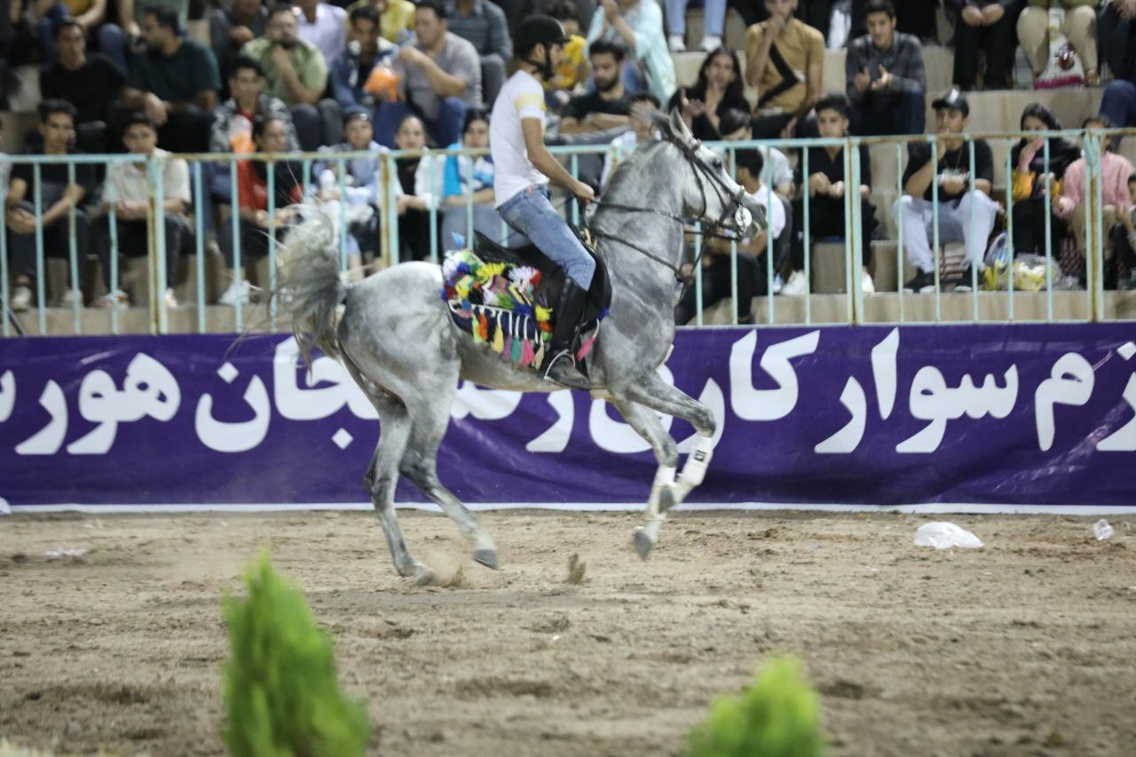 برگزاری  نمایش «شو » اسبان اصیل ایران در رفسنجان/ توسعه گردشگری با معرفی اسب اصیل ایرانی