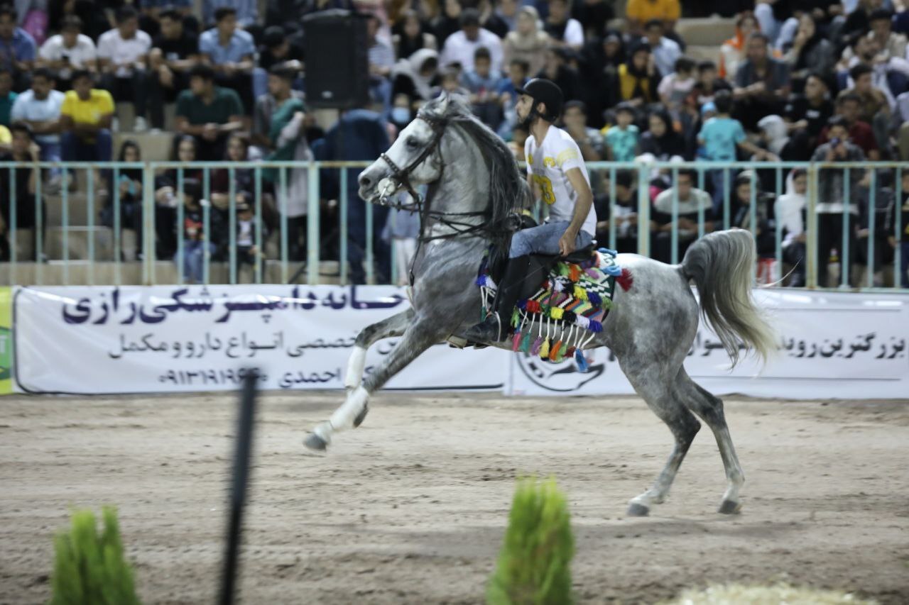 برگزاری  نمایش «شو » اسبان اصیل ایران در رفسنجان/ توسعه گردشگری با معرفی اسب اصیل ایرانی