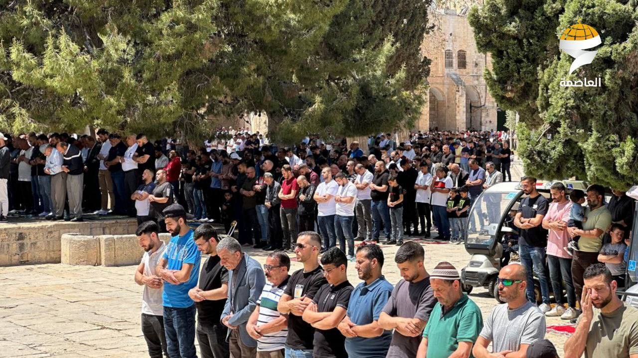 آمریکا قطعنامه قبول عضویت کامل فلسطین در سازمان ملل را وتو کرد آمریکا قطعنامه قبول عضویت کامل فلسطین در سازمان ملل را وتو کرد