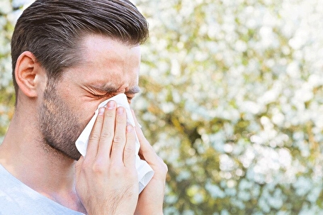 اینفوگرافیک | چه گیاهانی باعث حساسیت فصل بهار می‌شوند؟