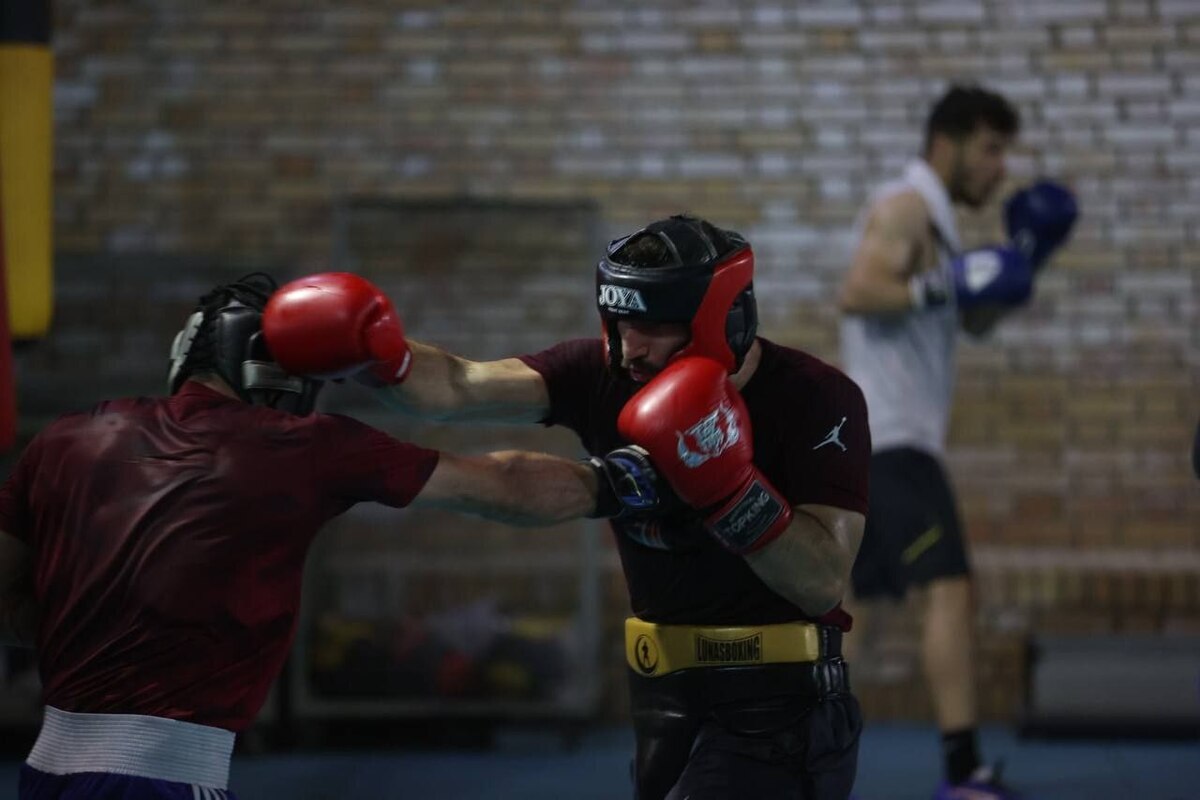 تورنمنت بوکس جاده ابریشم| صعود امیری به نیمهنهایی؛ چهارمین مدال قطعی شد تورنمنت بوکس جاده ابریشم| صعود امیری به نیمهنهایی؛ چهارمین مدال قطعی شد