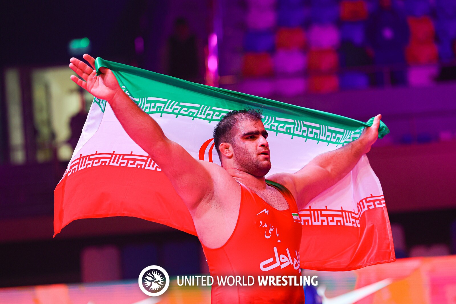 سایه روشن کشتی در سالی که گذشت/ از درخشش در بازی‌های آسیایی تا تلاش برای کسب سهمیه بیشتر