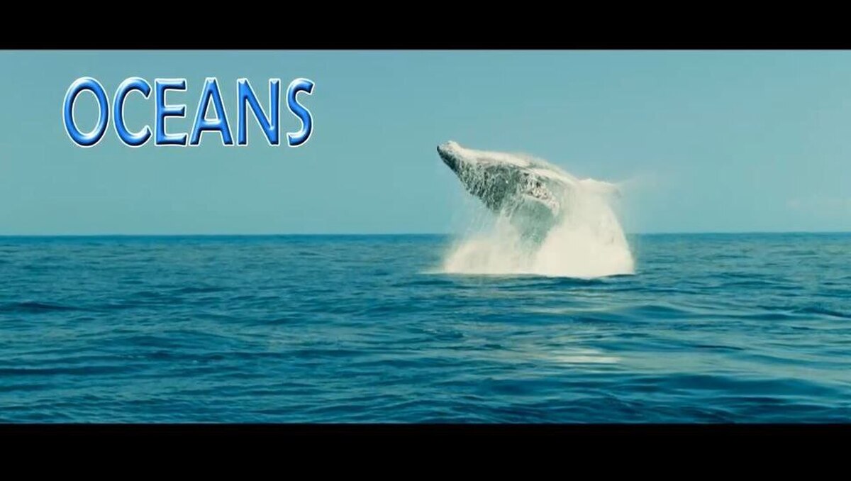 «اقیانوس‌ها» در شبکه مستند