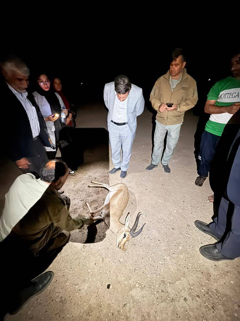 رئیس کل دادگستری استان بوشهر برای رفع بحران حیاتوحش منطقه حفاظتشدهمند دستورات لازم را صادر کرد رئیس کل دادگستری استان بوشهر برای رفع بحران حیاتوحش منطقه حفاظتشدهمند دستورات لازم را صادر کرد