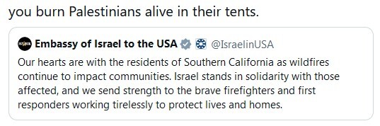 آتش‌سوزی در لس‌آنجلس و آنچه در غزه می‌گذرد