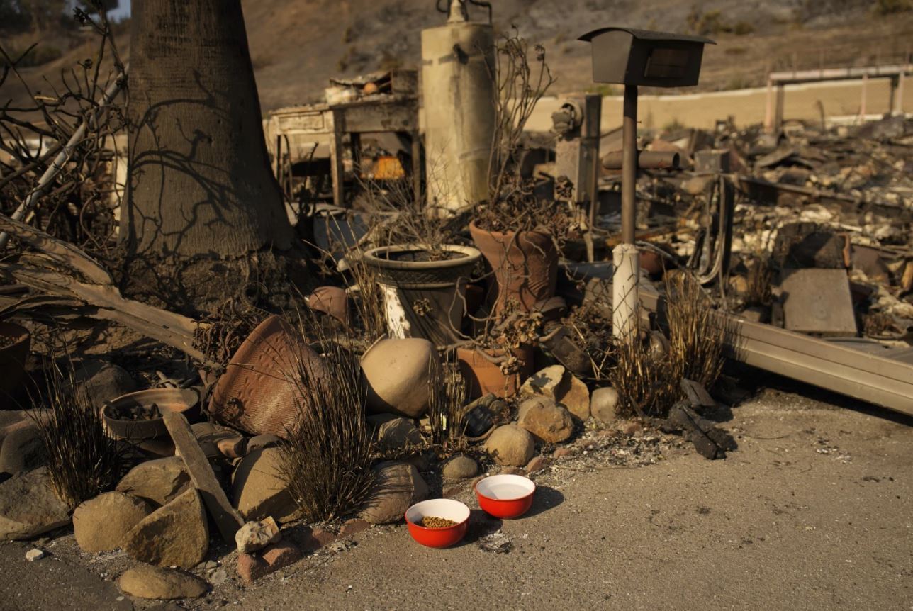 شمار قربانیان آتش‌سوزی در لس‌آنجلس به ۱۶ نفر رسید؛ افزایش ۲ برابری نیرو‌های گارد ملی