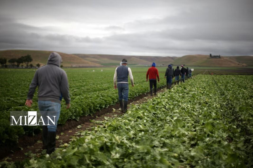 اجرای بزرگ‌ترین برنامه اخراج مهاجران در تاریخ آمریکا از زمین صفر شیکاگو