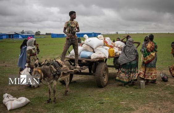 نقض فزاینده حقوق بشر؛ نتیجه جهان معتاد به جنگ و خشونت