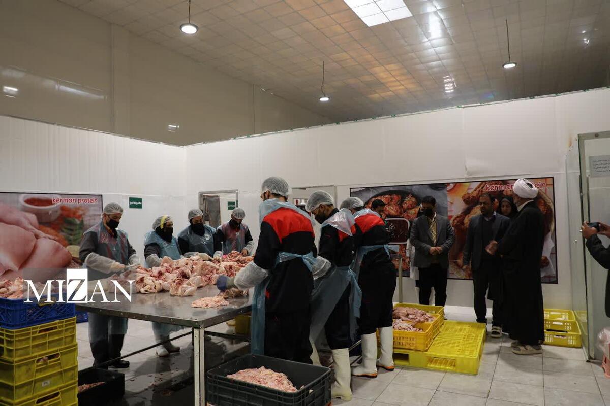 رئیس کل دادگستری استان کرمان از یک واحد تولیدی بازدید کرد