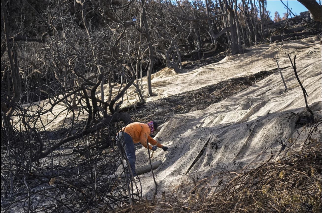 تشدید تنش ها میان دولت آمریکا و کلمبیا