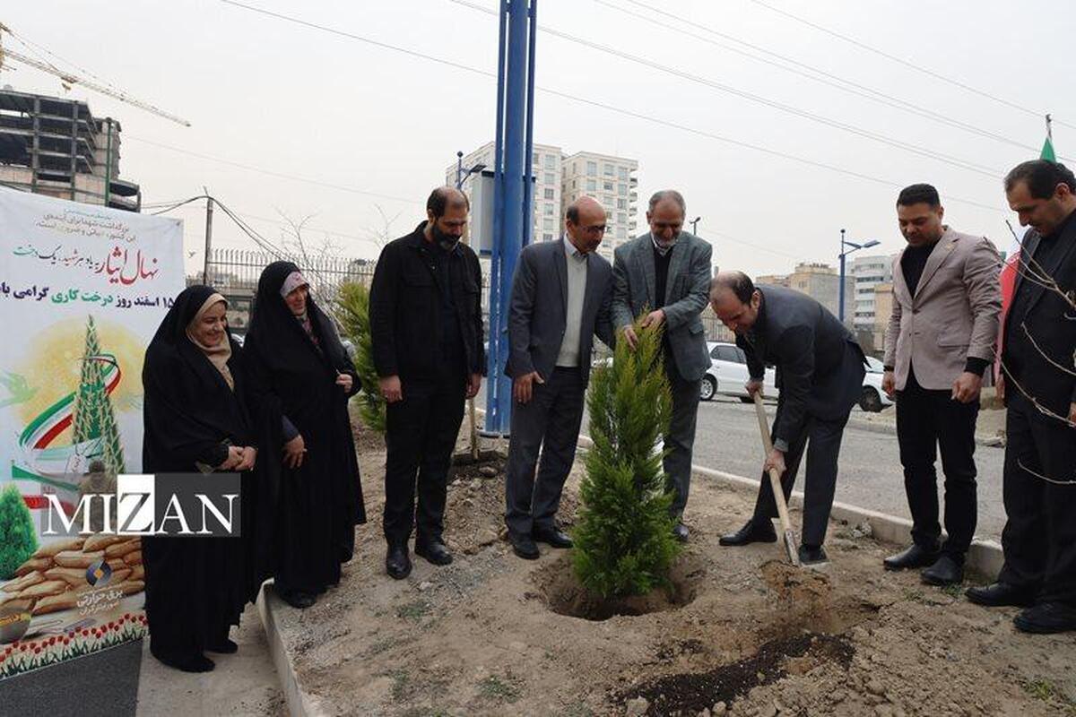 کاشت و توزیع ۱۱۰ هزار اصله نهال در نیروگاه‌های حرارتی کشور