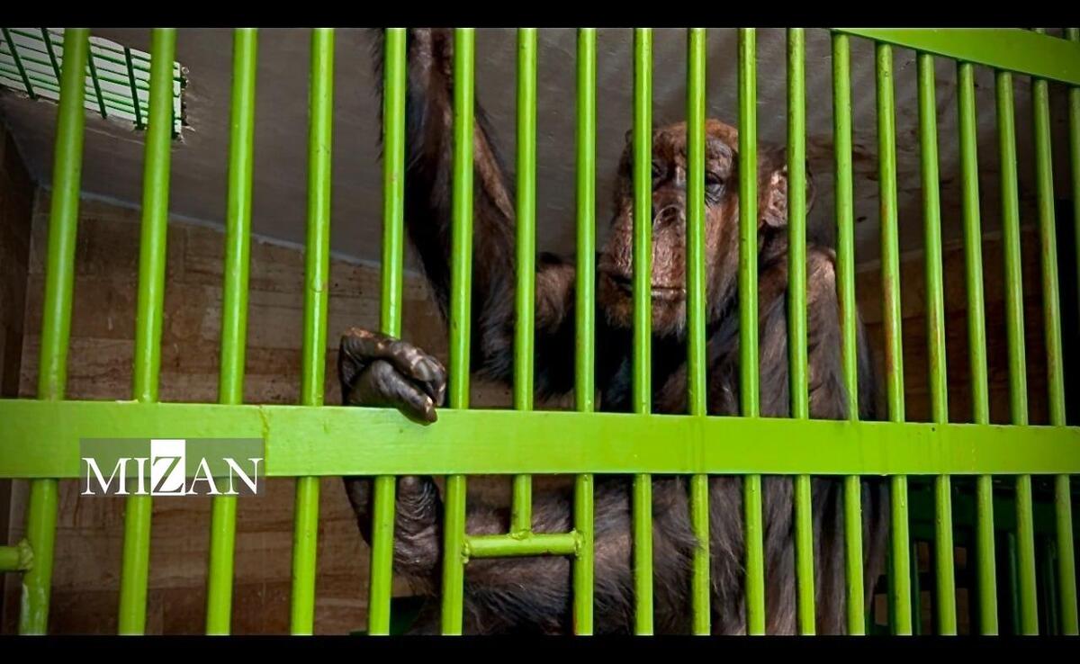 ناخوش احوالی پرویز ۷۰ساله