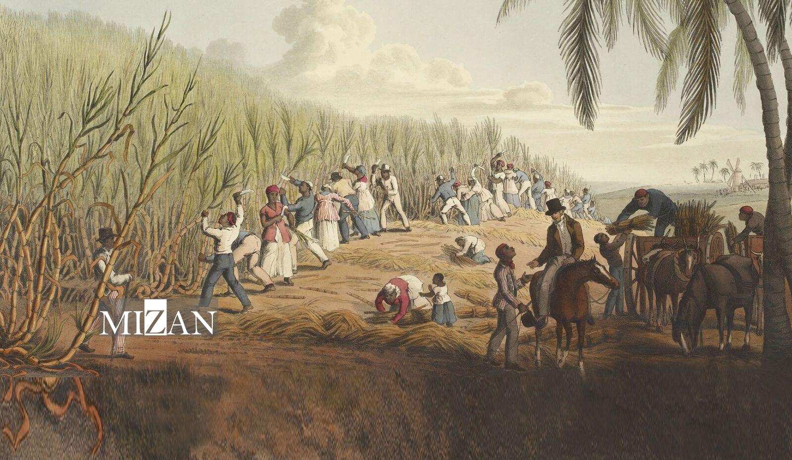 آنچه از تجارت برده در اقیانوس اطلس می‌دانیم//////////////////////// عید