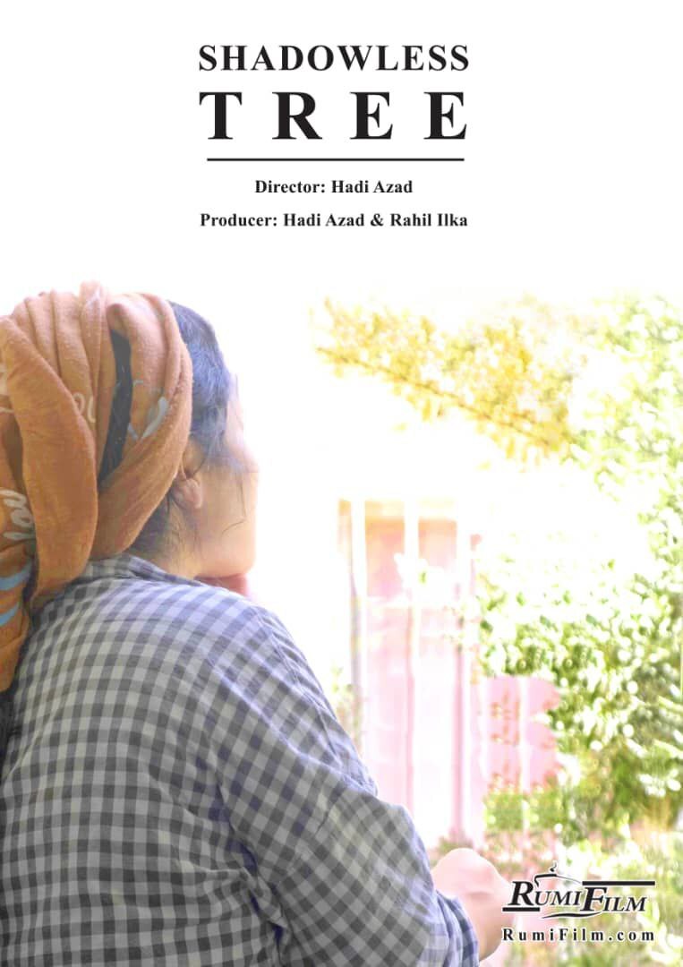 «درخت بی‌سایه»؛ روایت زندگی ۳ دختر افغانستانی