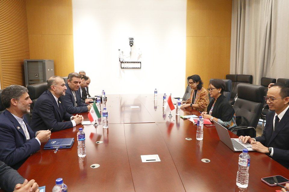 امیرعبداللهیان و سامح شکری دیدار کردند