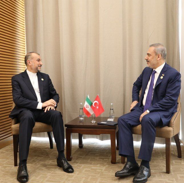 اجلاس سران سازمان همکاری اسلامی در بانجول؛ امیرعبداللهیان با همتایان مصری و عربستانی گفت‌وگو کرد